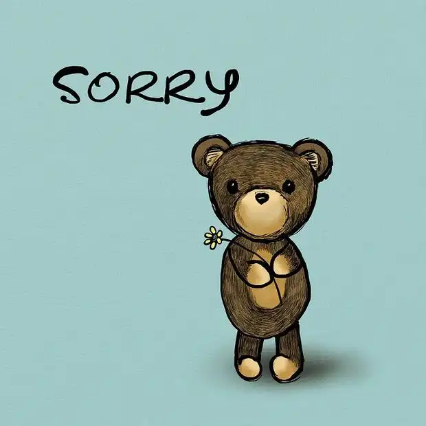 sorry quotes images